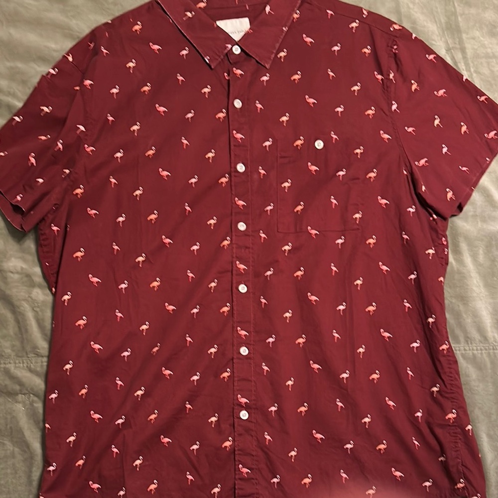 Men's American Eagle Flamingo Print Shirt - Red